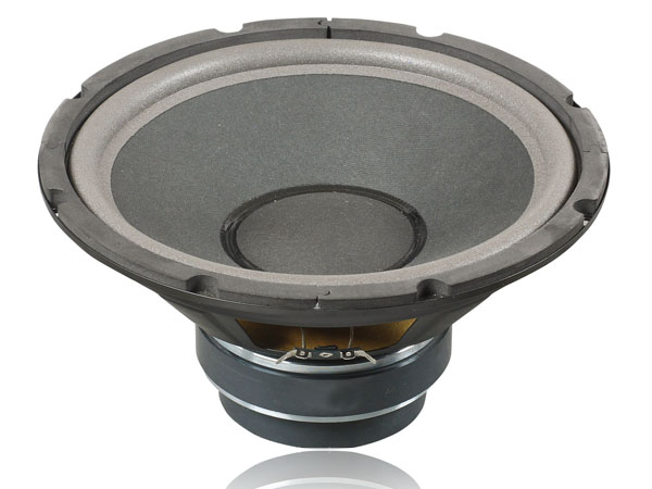 20170615062510790 Difuzor 10” RZS