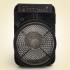 Boxă portabilă cu Difuzor de 15”, Bluetooth Si  2 Microfon KBroad KTS-2145