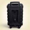 Boxă portabilă cu Difuzor de 15”, Bluetooth Si  2 Microfon KBroad KTS-2145